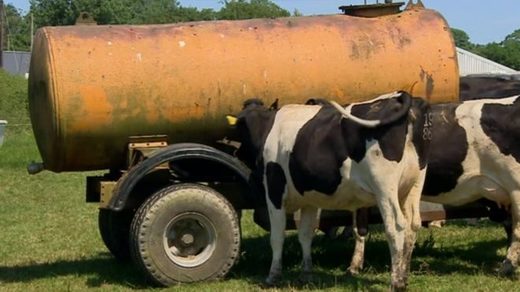 Farmers have brought in emergency water tankers