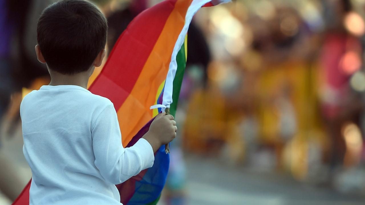 kid gay flag