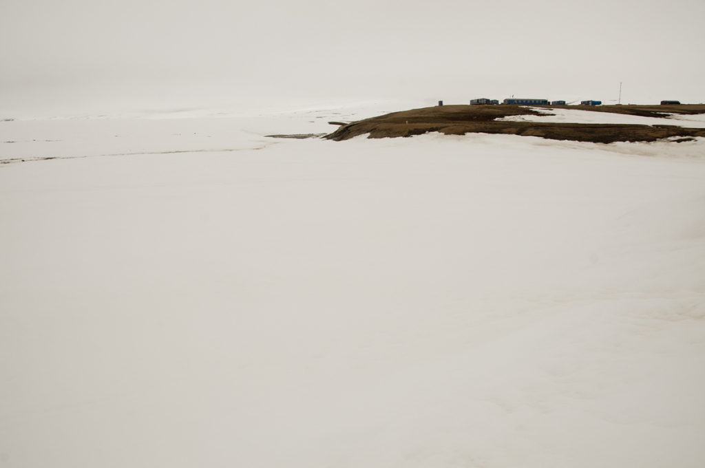 The near vicinity of the research station Zackenberg was the only snow-free area in the wide surroundings.