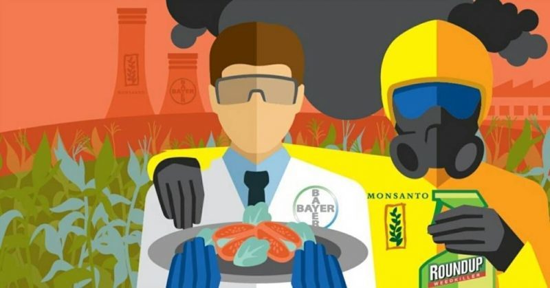 Click to enlarge monsanto merger