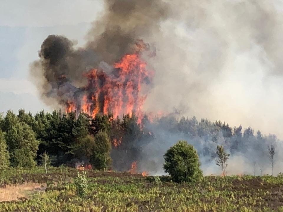 Click to enlarge Another moor fire scorches through land parched by heatwave in Bradford, UK