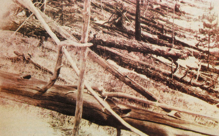Click to enlarge Tunguska