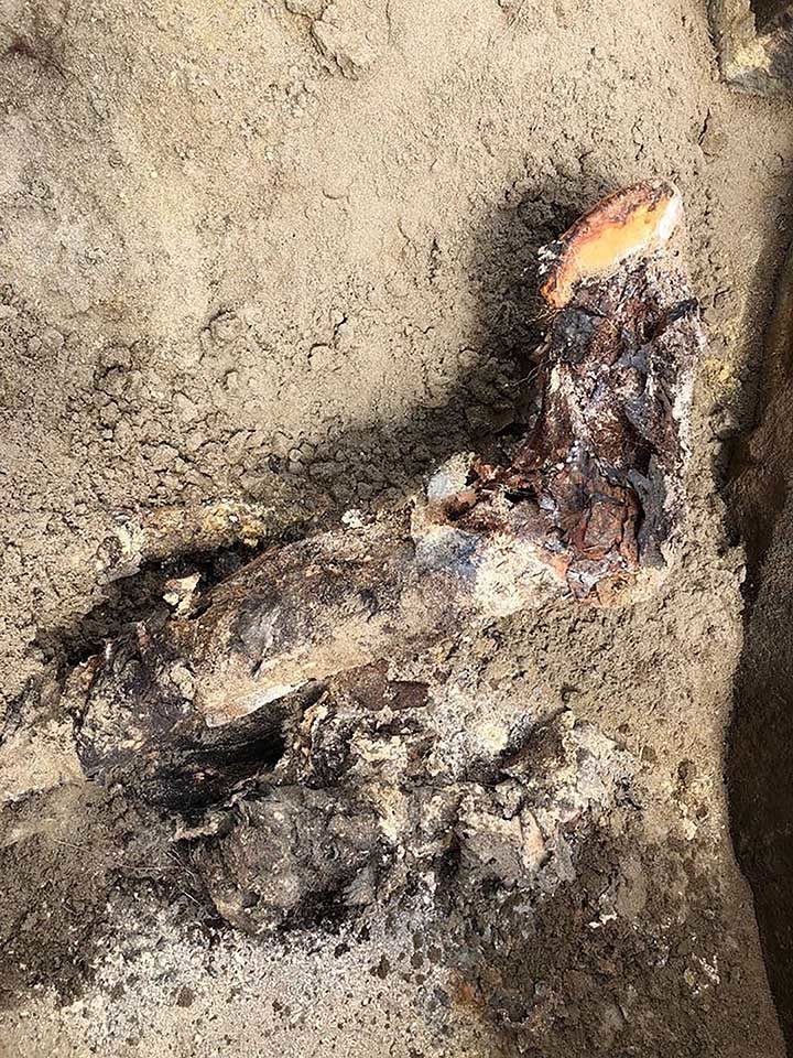 Click to enlarge siberian mummy silk