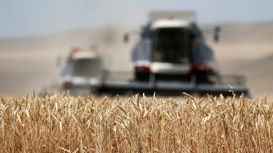 Click to enlarge Farmers