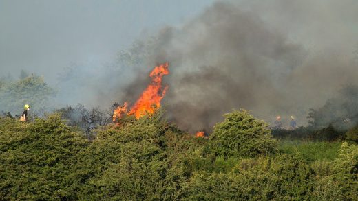 Fire crews tackle woodland blaze near Dalbeattie
