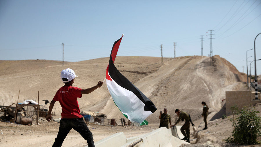 palestinian boy waving flag