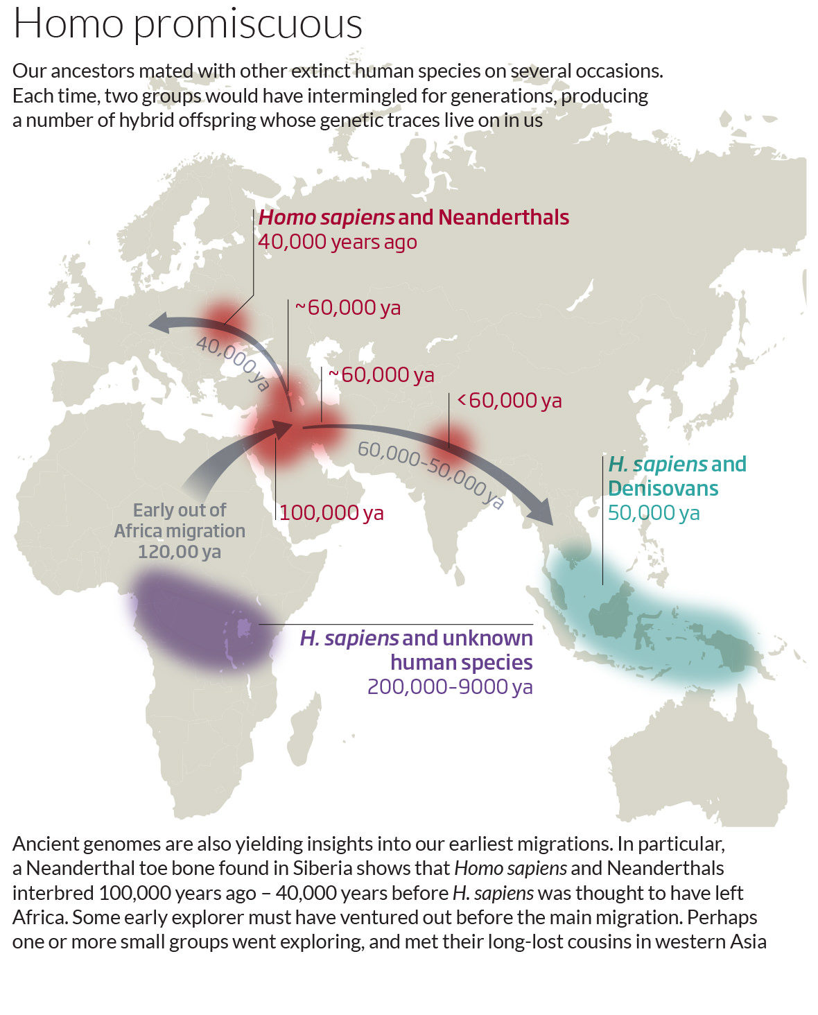 neanterhal denisovan migration