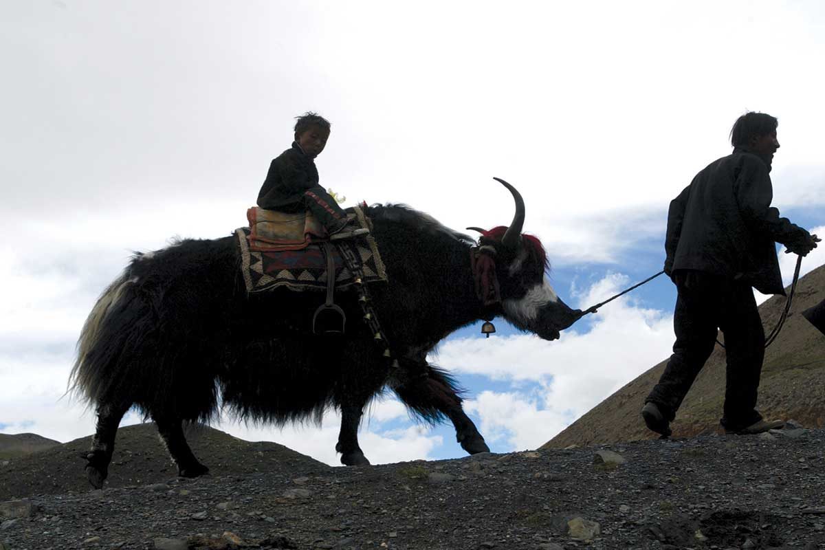 tibetans mountain