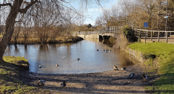 queen elizabeth park