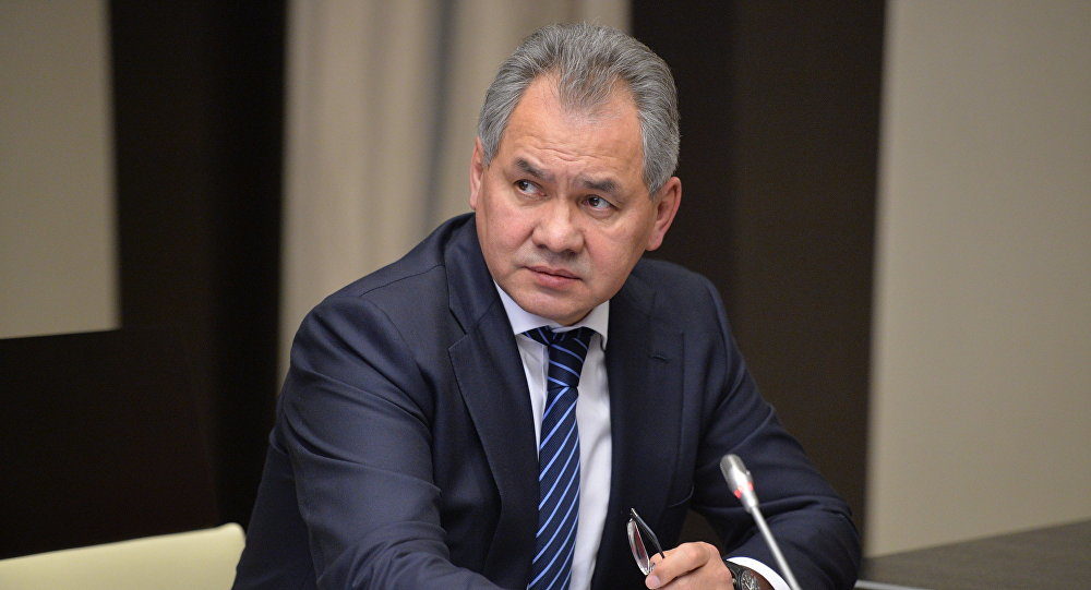 Click to enlarge Russian Defense Minister Sergei Shoigu