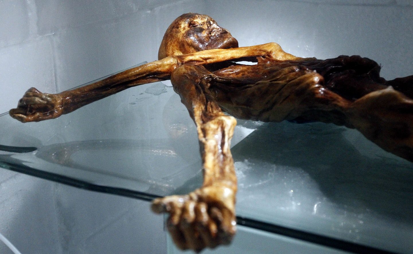 Click to enlarge Ötzi, the Iceman