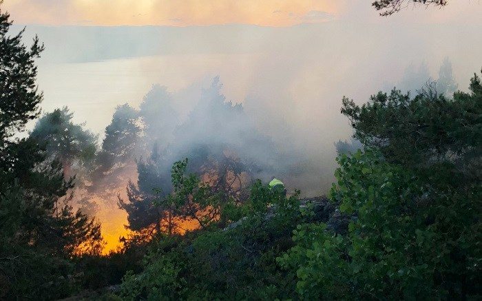 Click to enlarge wildfire