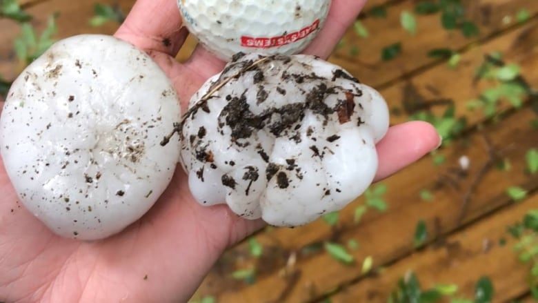 Click to enlarge Hail near Willow Bunch, SK ranged from toonie-sized to the size of baseballs