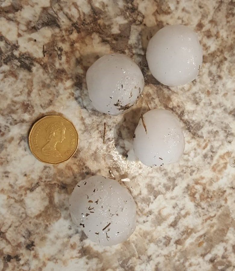 Click to enlarge Some of the hail in the area of Baildon, Sask. was larger that a loonie.