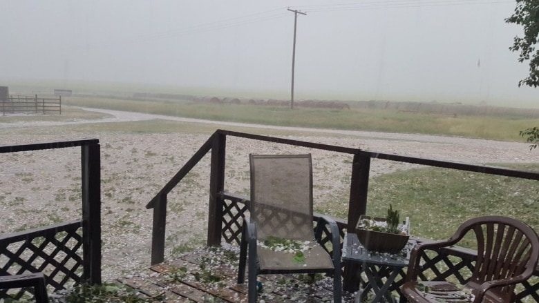 Hail covered the ground near Baildon, Sask.