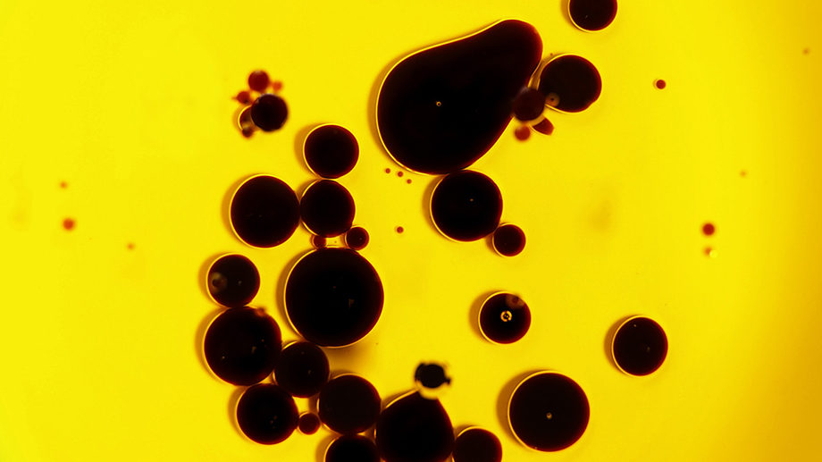 Click to enlarge Cell Division