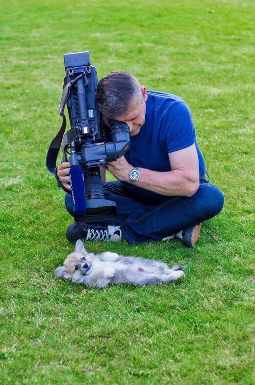 Click to enlarge Camera, dog