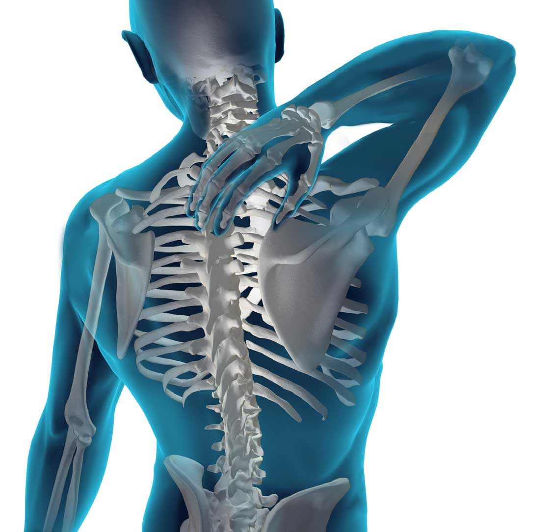 Click to enlarge back and spine