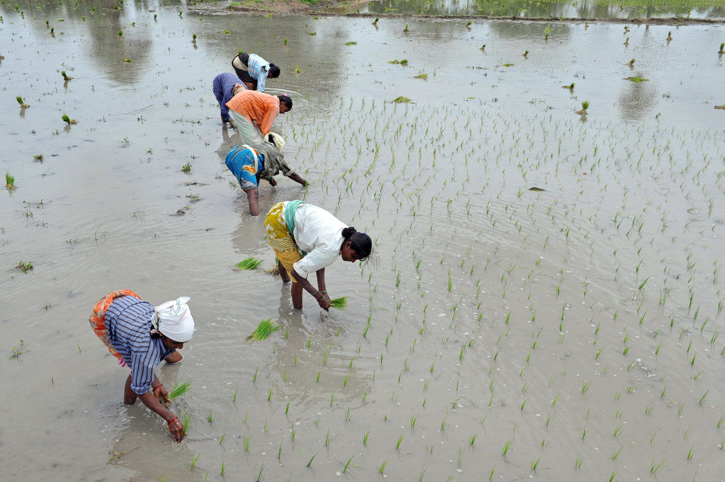 Click to enlarge india