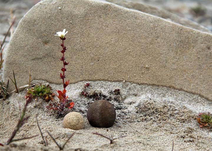 siberia's stone spheres