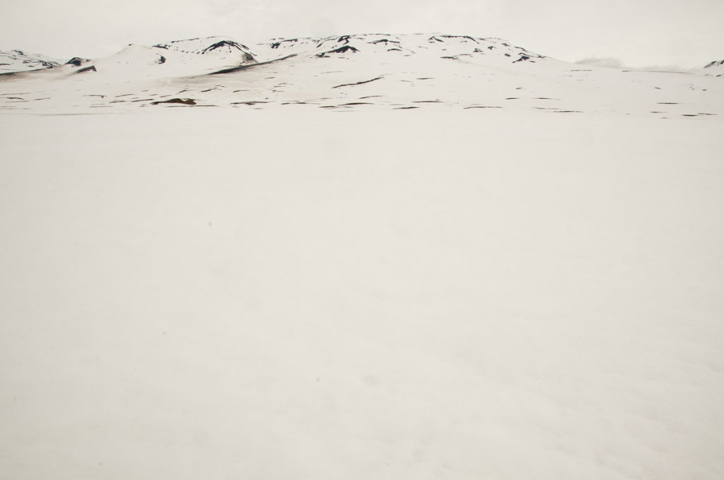 NE Greenland: in mid-June 2018 the tundra surface was close to 100% covered in snow.