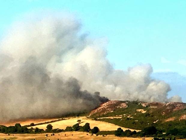 wildfire bray head ireland