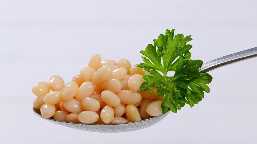 soy beans