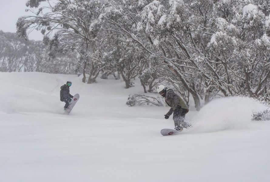 Click to enlarge Mt Hotham ski resort in Australia has posted a 102cm snowbase as the snowfall of the past few days moves up a notch ahead of what looks certain to be an epic powder weekend down under.