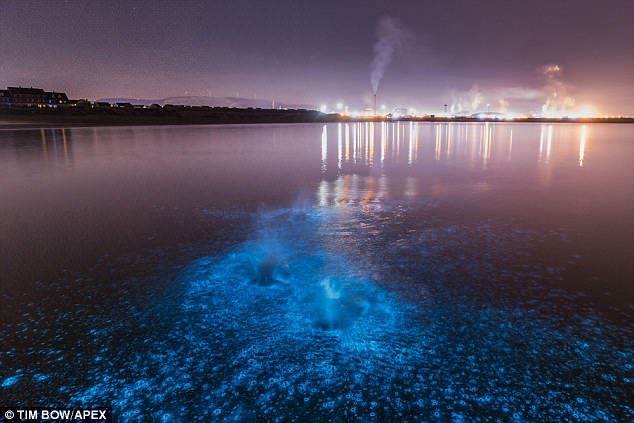 The stunning blue glow lit up the waters of Port Talbot, pictured