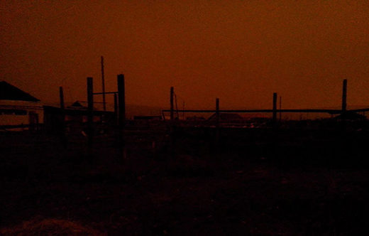 Click to enlarge siberia sun blank