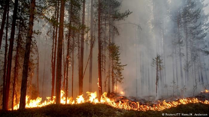 Click to enlarge Sweden wildfires Jul 2018