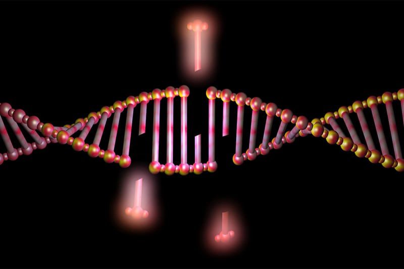 Crispr gene editing