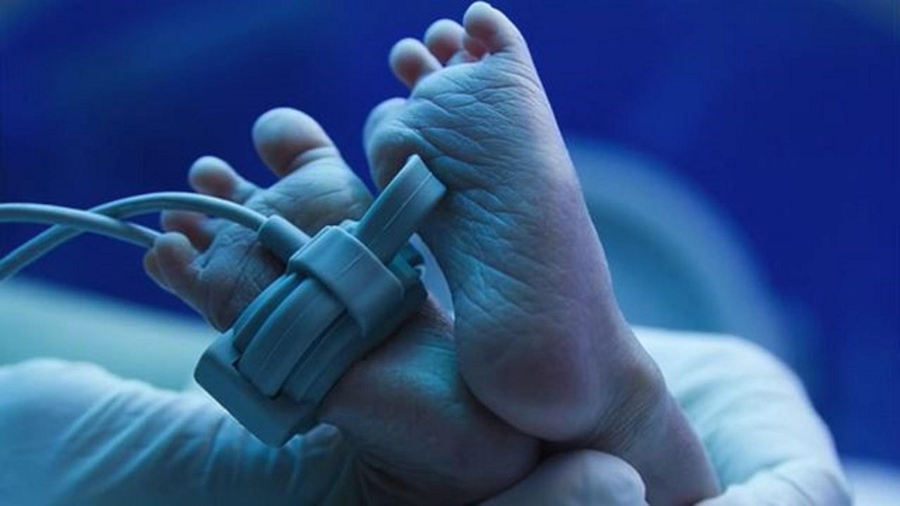 newborn