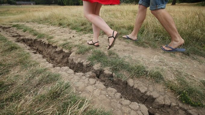 Click to enlarge Cracks in the ground on Hampstead Heath, London,
