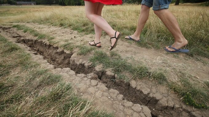 Cracks in the ground on Hampstead Heath, London,