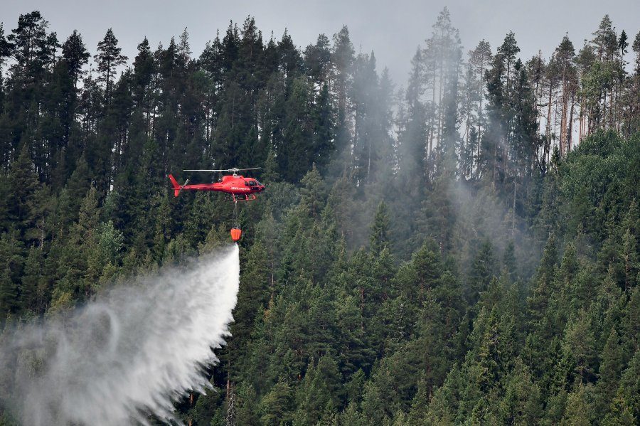 sweden wildfire 2018
