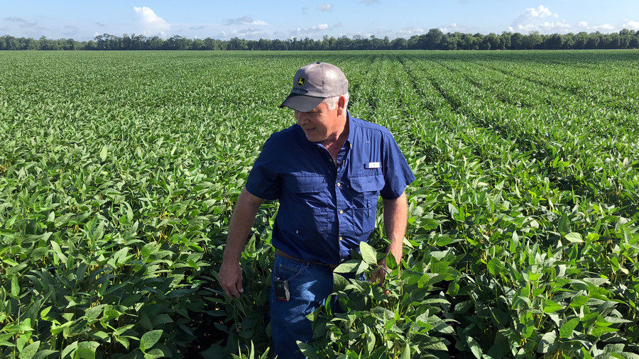 Click to enlarge American farmer