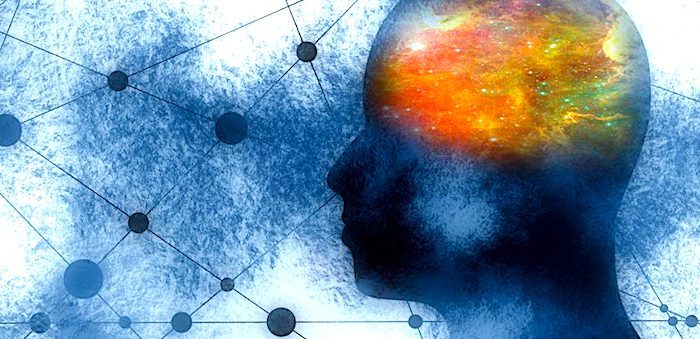 Click to enlarge Headbrainschizophrenia