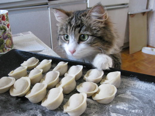 Click to enlarge Pierogi