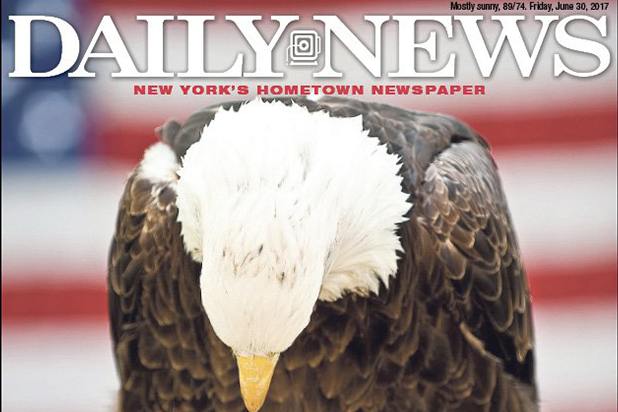 ny daily news