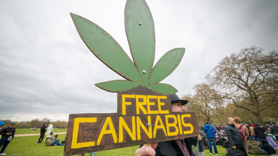 Cannabis