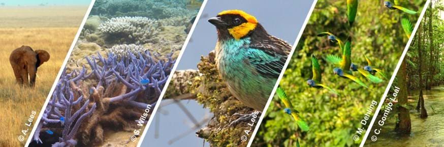 Biodiversity Collapse