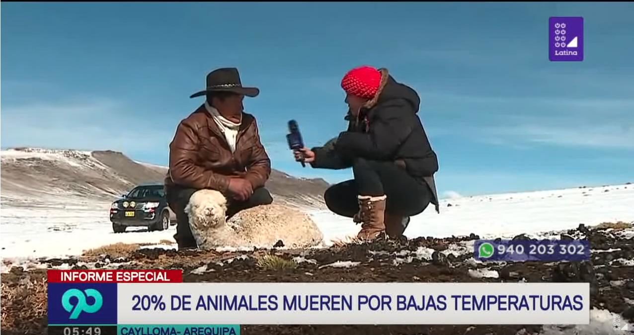 Click to enlarge peru cold July 2018