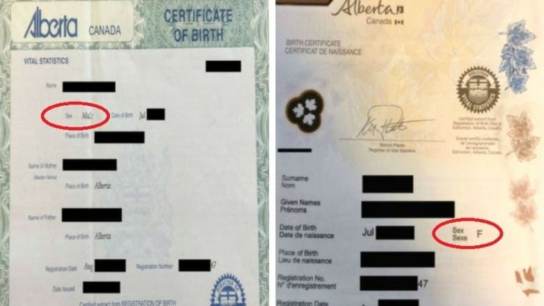 Click to enlarge sex change documents