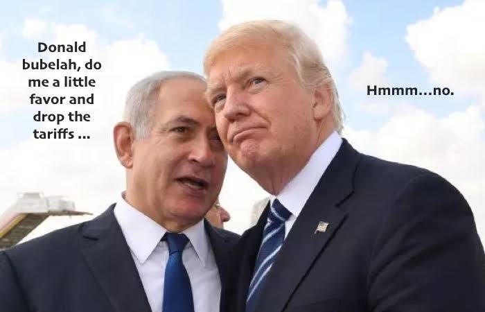 NetiTrump
