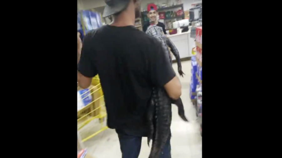 Florida man on a quest for beer chases store customers with a live