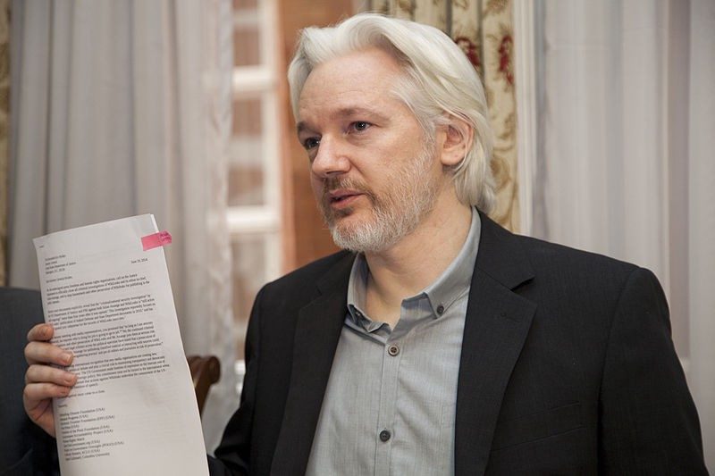 Click to enlarge Julian Assange legal documents