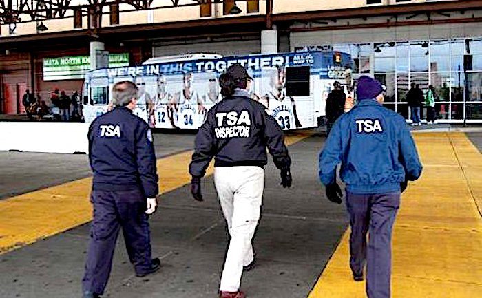 3 TSAagents