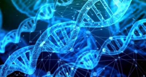 Click to enlarge gene editing