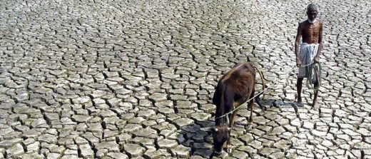drought India 2005